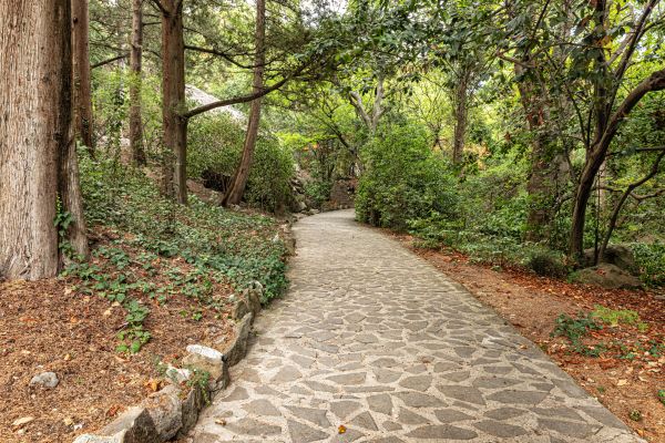 Stone Walkway Repair in St Louis