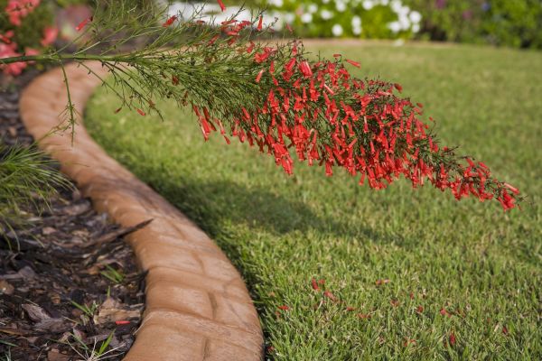 Brick Edging in St Louis